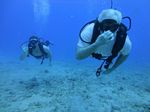 Hawaii Scuba divng 14