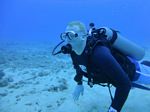 Hawaii Scuba divng 15