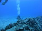 Hawaii Scuba divng 17