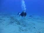 Hawaii Scuba divng 19