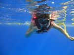 Hawaii Scuba divng 22