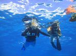 Hawaii Scuba divng 25