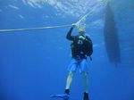 Hawaii Scuba divng 29