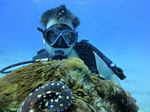 Hawaii Scuba divng 34