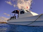 Hawaii Scuba divng 03