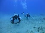 Hawaii Scuba divng 44