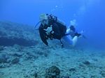 Hawaii Scuba divng 47