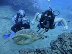 Hawaii Scuba divng 52