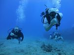 Hawaii Scuba divng 56