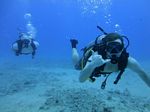 Hawaii Scuba divng 56