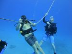 Hawaii Scuba divng 07