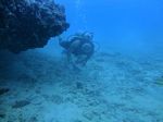 Honolulu scuba 34