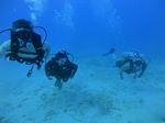 Honolulu scuba 41