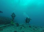 Hawaii Scuba divng 11