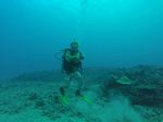 Hawaii Scuba divng 13