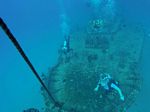 Hawaii Scuba divng 15