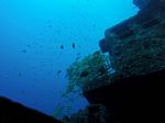Hawaii Scuba divng 30