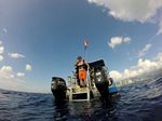 Hawaii Scuba divng 38