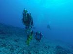 Hawaii Scuba divng 43