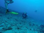 Hawaii Scuba divng 44