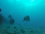Hawaii Scuba divng 05