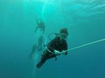 Hawaii Scuba divng 17