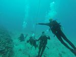 Hawaii Scuba divng 18