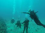 Hawaii Scuba divng 19