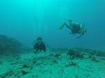 Hawaii Scuba divng 21