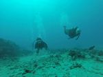 Hawaii Scuba divng 22