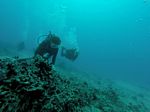 Hawaii Scuba divng 24