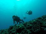 Hawaii Scuba divng 25