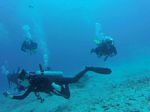 Hawaii Scuba divng 28