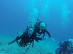 Hawaii Scuba divng 31