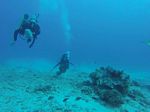 Hawaii Scuba divng 33