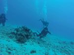 Hawaii Scuba divng 34