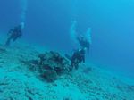 Hawaii Scuba divng 35