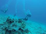 Hawaii Scuba divng 37