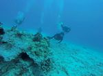 Hawaii Scuba divng 38