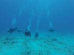 Hawaii Scuba divng 40