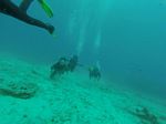 Hawaii Scuba divng 41