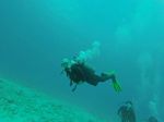 Hawaii Scuba divng 42