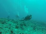 Hawaii Scuba divng 53