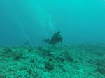 Hawaii Scuba divng 54