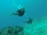 Hawaii Scuba divng 58