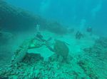 Hawaii Scuba divng 71