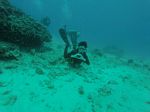 Hawaii Scuba divng 76