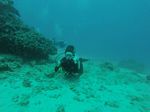 Hawaii Scuba divng 77