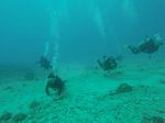 Hawaii Scuba divng 80