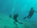 Hawaii Scuba divng 81